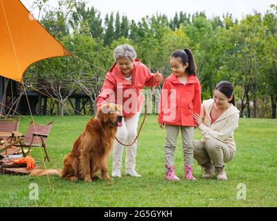 Happy grandparents and grandchildren play with their pet dog in the park high quality photo Stock Photo