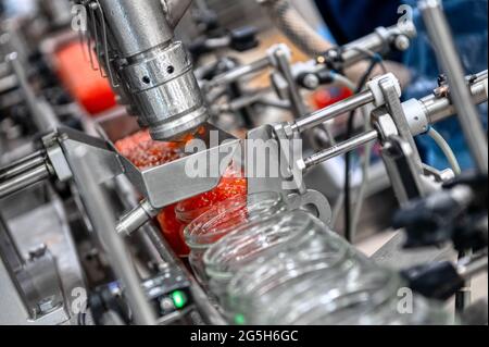 Machine for filling red caviar into glass jars. Filling equipment, food industry Stock Photo