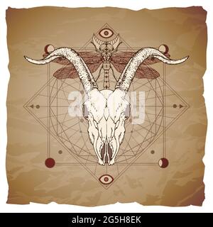 Vector illustration with hand drawn goat skull, dragonfly and Sacred geometric symbol on vintage paper background with torn edges. Abstract mystic sig Stock Vector