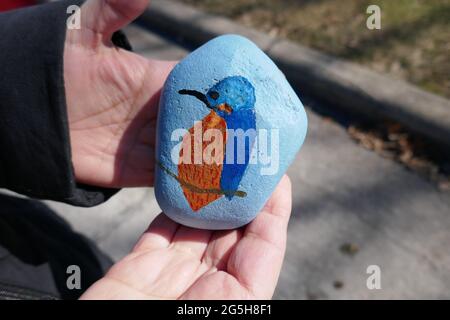 Blue bird painted on kindness rock held up by two hands Stock Photo