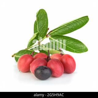 Carissa carandas,mango yawn lemon boo isolated on white background Stock Photo