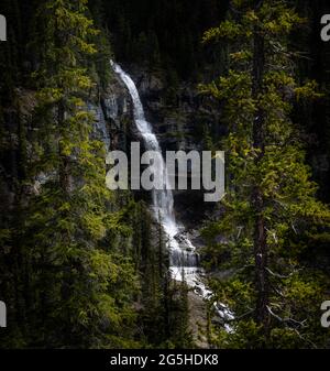 Isolated Bridal Veil falls in between trees Stock Photo
