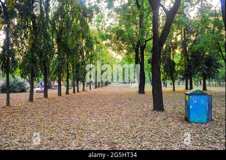 A day of charm in Bangladeshi park Stock Photo