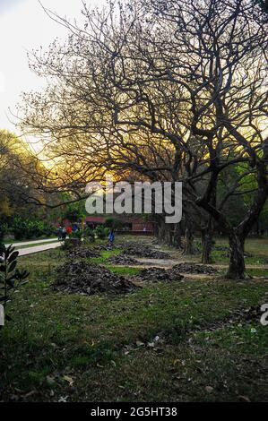 A day of charm in Bangladeshi park Stock Photo