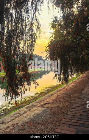 A day of charm in Bangladeshi park Stock Photo