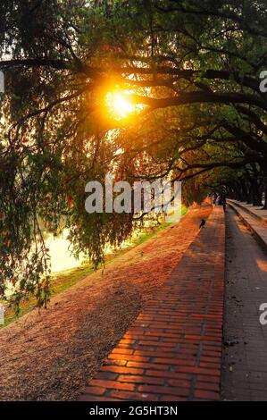 A day of charm in Bangladeshi park Stock Photo