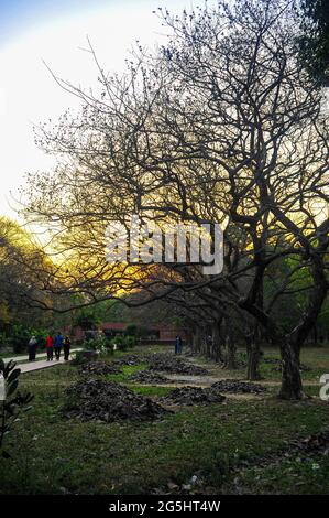 A day of charm in Bangladeshi park Stock Photo