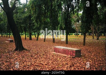 A day of charm in Bangladeshi park Stock Photo