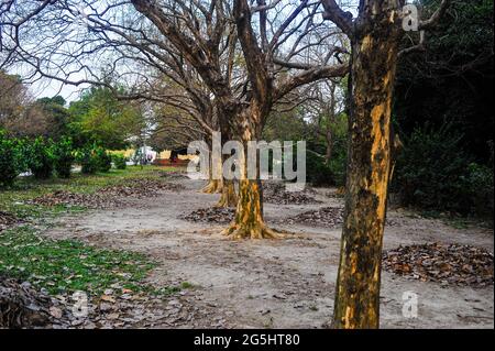 A day of charm in Bangladeshi park Stock Photo