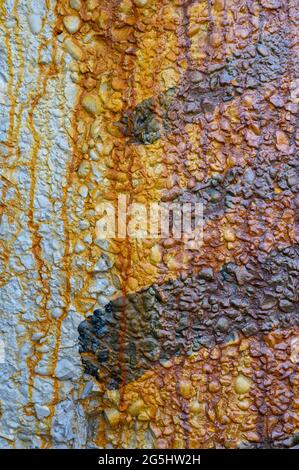 Rust and peeling paint on old machine 0117 Stock Photo
