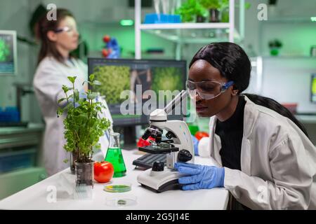 Biologist researcher scientist looking at leaf sample under medical microscope while writing biological expertise on notepad. Chemist examining biological discovery working in microbiology lab. Stock Photo