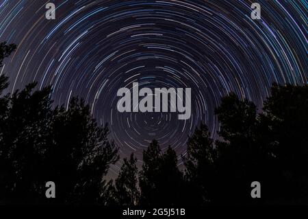 Star Trails Over Tree Tops Stock Photo