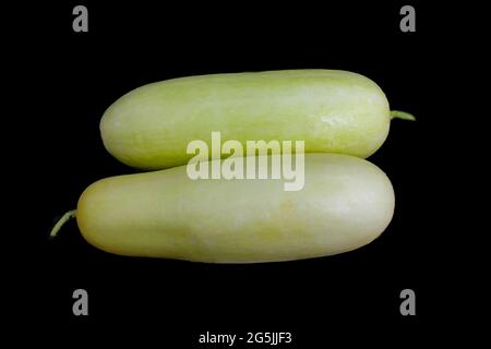 Green fresh cucumber  isolated on a plate Stock Photo