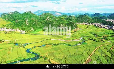 Xintian, China. 27th June, 2021. The beauty of green field in summer in Xintian, Hunan, China on 27th June, 2021.(Photo by TPG/cnsphotos) Credit: TopPhoto/Alamy Live News Stock Photo