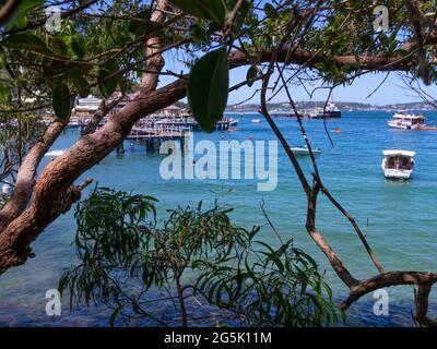 View of Sydney harbour and CDB on a beautiful sunny blue sky clear blue waters boats yachts and ferry residential and commercial buildings Australia Stock Photo