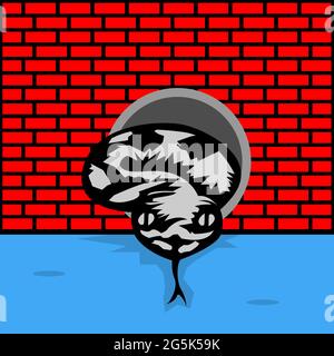 Python comes out of the water pipe. Vector Illustration on Brick wall background. Stock Vector