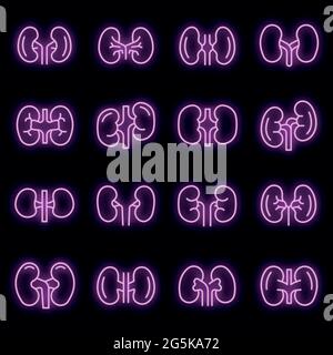Kidney icons set. Outline set of kidney vector icons neon color on black Stock Vector