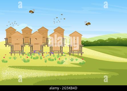 Beekeeping apiary on flower meadow field village landscape, honey production vector illustration. Cartoon bees insects flying over wooden beehives, producing organic honey farm product background Stock Vector