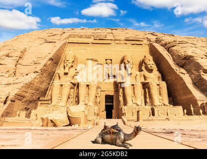 A camel near the Great Temple at Abu Simbel, Egypt Stock Photo