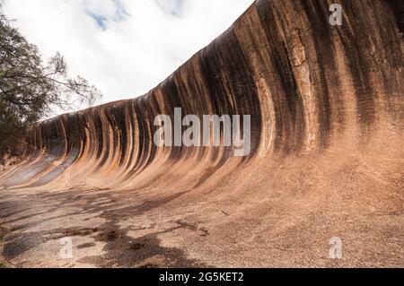 WAVE ROCK, KATTER KICH, HYDEN ROCK, HYDEN, WESTERN AUSTRALIA Stock Photo