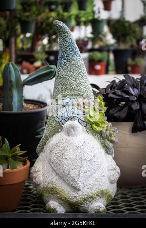 Cute garden troll decorated with succulents displayed on shelf with cacti and other plants ready to put in the garden Stock Photo