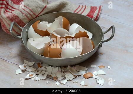 Broken eggshells in shells Stock Photo