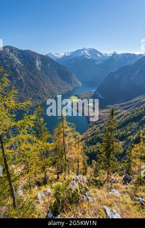 Panoramic view of the Königssee from the Achenkanzel, autumnal forest and snow-covered mountains, Berchtesgaden National Park, Berchtesgadener Land, U Stock Photo