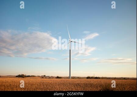 A wind turbine in a rural field seen from a moving passenger train Stock Photo