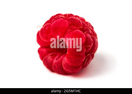 Ripe red raspberry close up isolated on white background Stock Photo