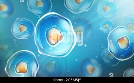 Cell division background. Vector Stock Vector Image & Art - Alamy