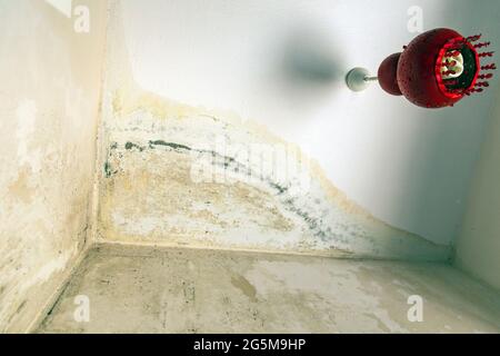 Interior shot directly below a ceiling infested with mold and still dump, due to leaked drainage from upper floor. With a red lamp. Stock Photo