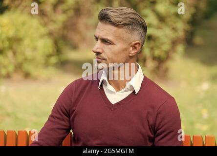 mature handsome man relax outdoor. well groomed man sit on bench. confident businessman wear purple sweater. casual business fashion. male beauty and Stock Photo