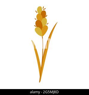 Vector wheat spike, cereals hand drawn flat icon Stock Vector
