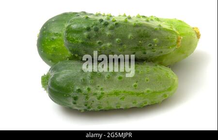 Three green gherkin cucumbers isolated on white background. Stock Photo