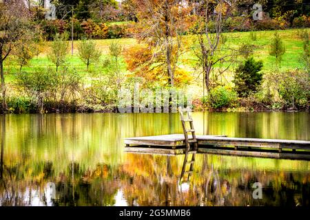 Reflection of colorful orange yellow fall autumn foliage in Virginia in pond lake and ladder from boardwalk for fishing or swimming and trees leaves Stock Photo
