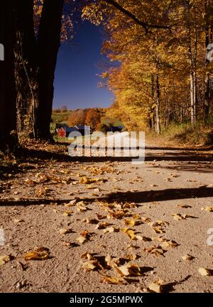 Autumn and fall foliage at the Jenne Farm in Reading Vermont Stock ...