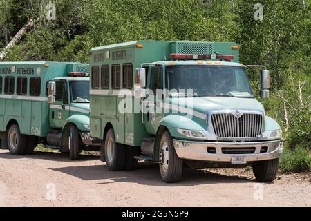 The heavy-duty International crew trucks of the Redding Hotshots firefighting crew from California. Stock Photo