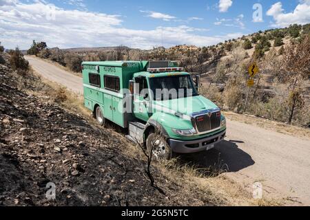 The heavy-duty International crew truck of the Black Mountain Hotshots firefighting crew from Nevada. Stock Photo