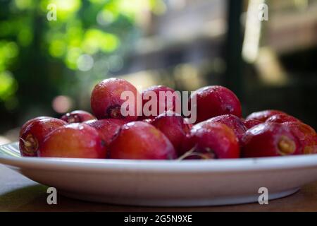 Red dates isolated on a ceramic plate Stock Photo