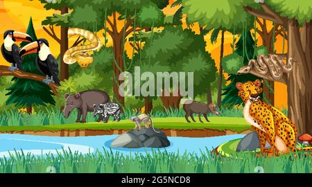 Forest at sunset time scene with different wild animals illustration ...
