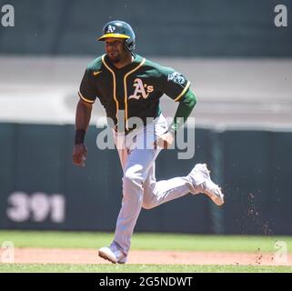 San Francisco Seals (Images of Baseball)