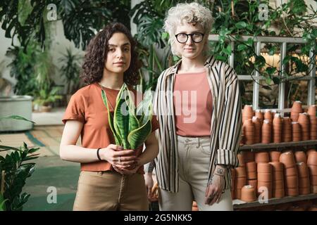 Portrait of two florists with potted plant looking at camera while standing in the botany garden Stock Photo