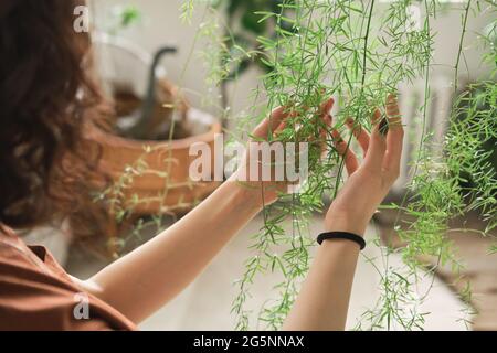Close-up of woman holding small branches of green plant and caring of it Stock Photo