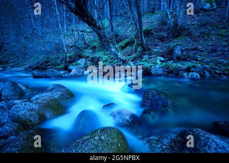 Forest and creek by night. Lozoya river in Madrid. Spain Stock Photo