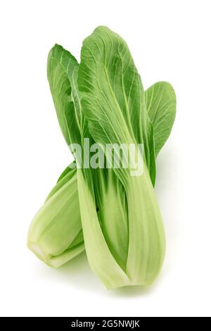 Pak choi (Brassica rapa chinensis) isolated on white Stock Photo