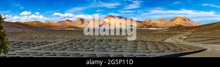 Scenic landscape with volcanic vineyards. Lanzarote. Canary Islands. Spain. La Geria vineyard on black volcanic soil. Stock Photo