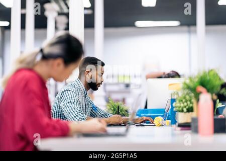 Focused black man sitting in big desk in the office and working with his laptop. Stock Photo