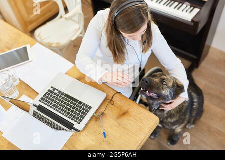 Disabled woman in a wheelchair at the computer in the home office with an assistance dog as a pet Stock Photo