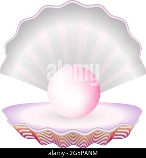 seashell with pearl on white background Stock Vector