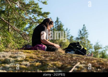 Close up side view of woman looking into mobile, sitting and relaxing warm evening Sunset on edge of pine tree forest. Scandinavian nature landscape, Stock Photo